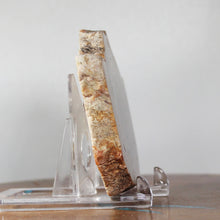 Load image into Gallery viewer, Large Fossil Dinosaur Poop - Coprolite Red Beige
