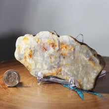 Load image into Gallery viewer, Fossil Dinosaur Coprolite Cross Section - Orange Beige Feces
