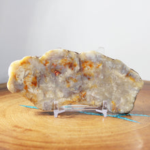 Load image into Gallery viewer, Fossil Dinosaur Coprolite Cross Section - Orange Beige Feces
