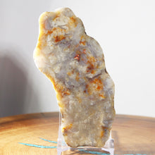 Load image into Gallery viewer, Fossil Dinosaur Coprolite Cross Section - Orange Beige Feces
