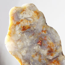 Load image into Gallery viewer, Fossil Dinosaur Coprolite Cross Section - Orange Beige Feces
