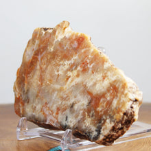 Load image into Gallery viewer, Fossil Dinosaur Hefty Coprolite - Red Beige Poop
