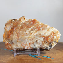 Load image into Gallery viewer, Fossil Dinosaur Hefty Coprolite - Red Beige Poop
