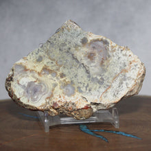 Load image into Gallery viewer, Fossil Dinosaur Coprolite Cross Section - Triangular Poop
