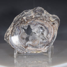Load image into Gallery viewer, Dugway Geode Double Chamber w/ Window
