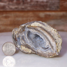 Load image into Gallery viewer, Dugway Geode with Crystal Lined Open Chamber
