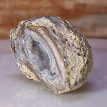 Load image into Gallery viewer, Dugway Geode with Crystal Lined Open Chamber
