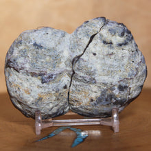 Load image into Gallery viewer, Dugway Geode Double Blue Half Juab Formation
