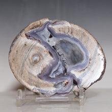 Load image into Gallery viewer, Dugway Geode w/ Deep Crystal Lined Chasm
