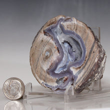 Load image into Gallery viewer, Dugway Geode w/ Deep Crystal Lined Chasm
