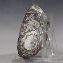 Load image into Gallery viewer, Dugway Geode w/ Deep Crystal Lined Chasm
