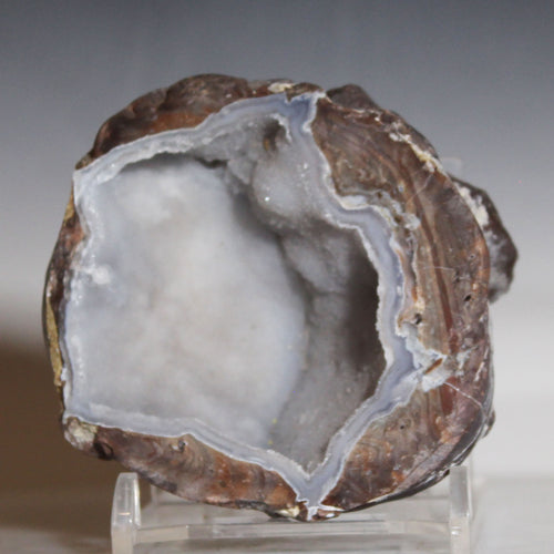 Geode with a clear interior on a gray background