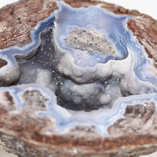 Load image into Gallery viewer, Blue &amp; Brown Dugway Bat Shaped Chamber Geode Crystal

