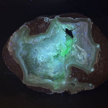 Load image into Gallery viewer, Blue Dugway Open Back Geode Fluoresces
