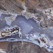 Load image into Gallery viewer, Round Face Blue Dugway Geode Half Juab Formation
