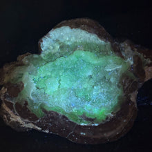 Load image into Gallery viewer, Soft Light Blue Dugway Geode Half Green Fluorescence
