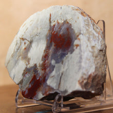 Load image into Gallery viewer, Dinosaur Poop Fossilized - High Quality Coprolite
