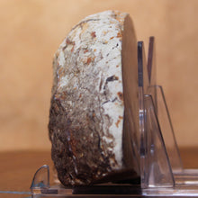 Load image into Gallery viewer, Dinosaur Poop Fossilized - High Quality Coprolite
