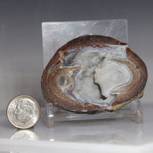 Load image into Gallery viewer, Geode crystal sample on a stand with a dime for scale against a gray background

