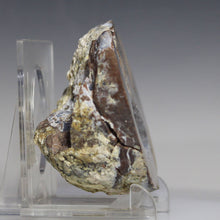 Load image into Gallery viewer, Side view Dugway Geode Crystal Lined Chamber
