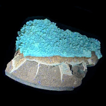 Load image into Gallery viewer, Septarian Geode Piece - Raw Dark Yellow - Fluoresces
