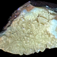 Load image into Gallery viewer, Septarian Geode Slice - Packed Yellow Crystals
