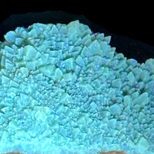 Load image into Gallery viewer, Septarian Geode Piece - Raw Dark Yellow - Fluoresces
