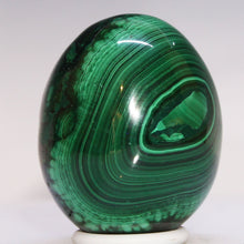 Load image into Gallery viewer, Malachite Crystal Egg - Prominent Eye
