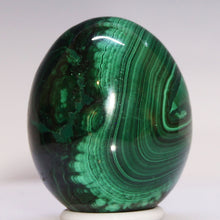 Load image into Gallery viewer, Malachite Crystal Egg - Prominent Eye
