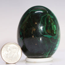 Load image into Gallery viewer, Malachite Crystal Egg - Prominent Eye
