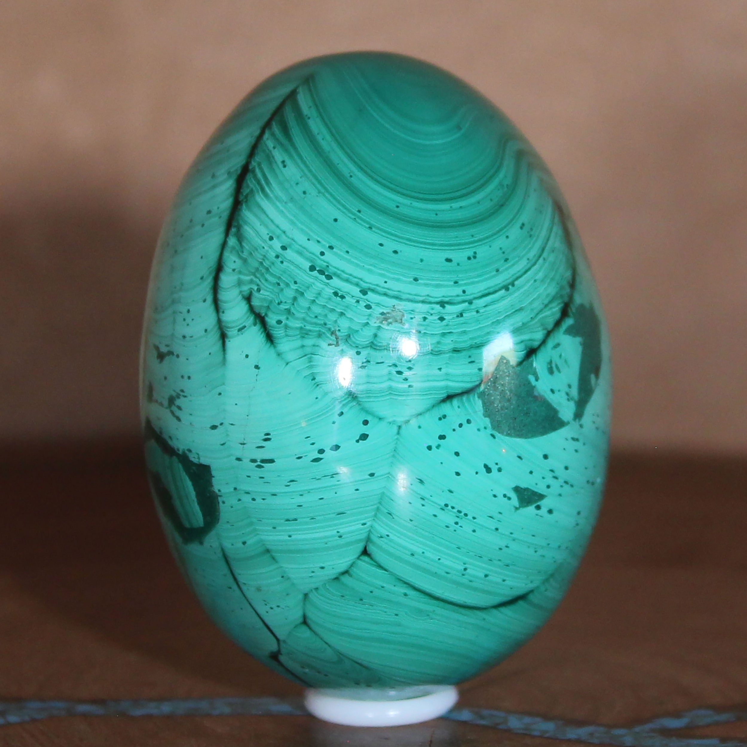 Congolese Malachite Crystal Mineral - Hand Shaped Egg