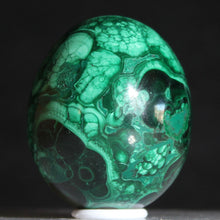 Load image into Gallery viewer, Congolese Malachite Crystal - Green Planet Juniper - Hand Shaped Mineral Egg
