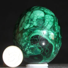 Load image into Gallery viewer, Congolese Malachite Crystal - Green Planet Juniper - Hand Shaped Mineral Egg
