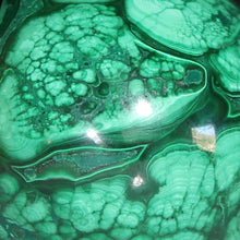 Load image into Gallery viewer, Congolese Malachite Crystal - Green Planet Juniper - Hand Shaped Mineral Egg
