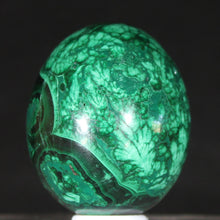 Load image into Gallery viewer, Congolese Malachite Crystal - Green Planet Juniper - Hand Shaped Mineral Egg
