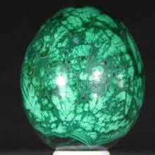 Load image into Gallery viewer, Congolese Malachite Crystal - Green Planet Juniper - Hand Shaped Mineral Egg
