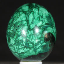 Load image into Gallery viewer, Congolese Malachite Crystal - Green Planet Juniper - Hand Shaped Mineral Egg
