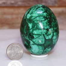 Load image into Gallery viewer, Malachite Crystal Egg - Liquid-Like Variations
