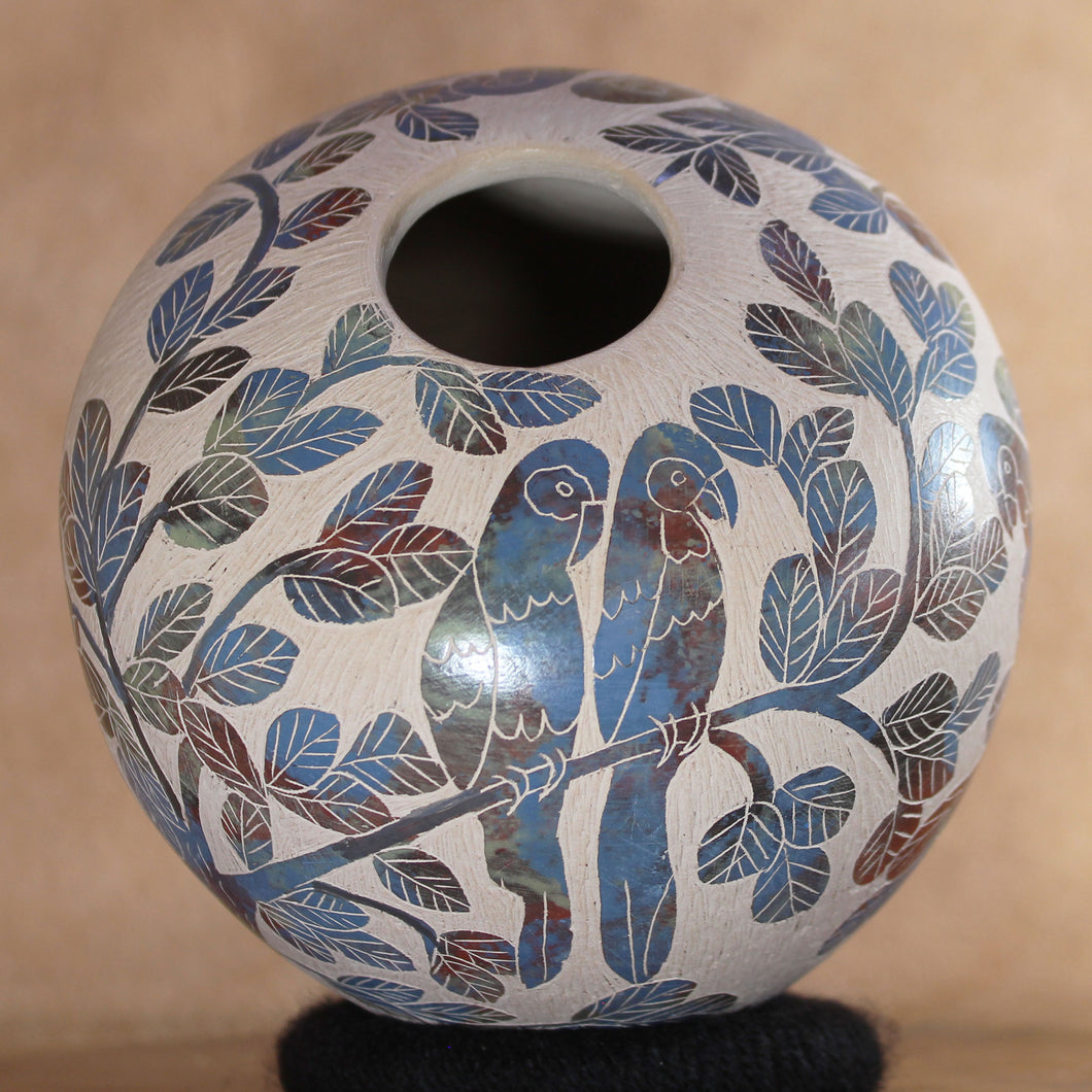 Mata Ortiz Pottery - Ms. Armida Corona - Nature & Blended Glaze