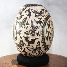 Load image into Gallery viewer, Señor David Bejarano - Hidden Imagery - Mata Ortiz Pottery
