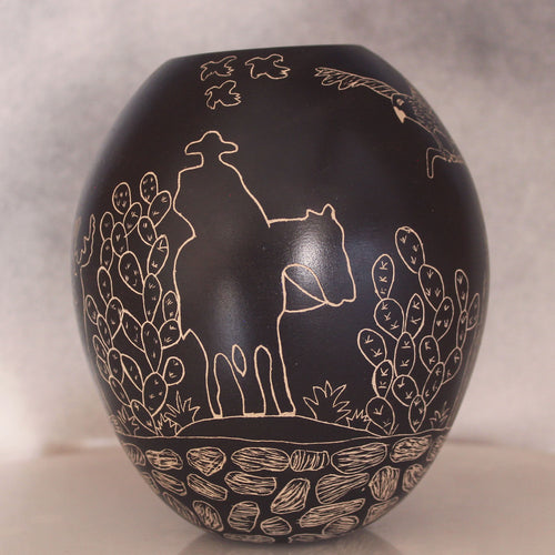 Mata Ortiz Pottery - Young New Artist