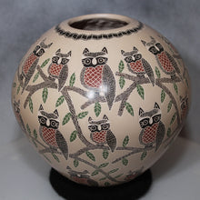 Load image into Gallery viewer, Mata Ortiz Pottery 30+ Etched Owls
