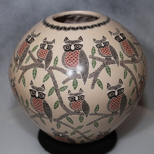 Mata Ortiz Pottery 30+ Etched Owls