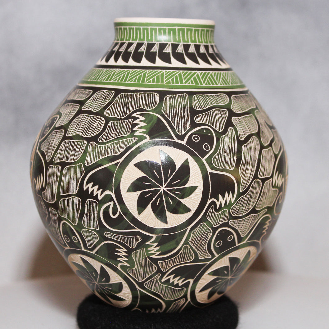 Mata Ortiz Pottery Black Green White Tortoises