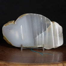 Load image into Gallery viewer, Oregon Chalcedony Chunk Polished Mineral
