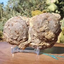Load image into Gallery viewer, Double Fused Oregon Thunderegg - Friend Ranch
