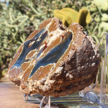 Load image into Gallery viewer, Double Fused Oregon Thunderegg - Friend Ranch
