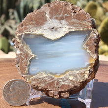 Load image into Gallery viewer, Oregon Thunderegg - Richardsons Ranch
