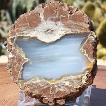 Load image into Gallery viewer, Oregon Thunderegg - Richardsons Ranch
