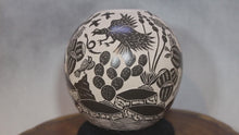 Load and play video in Gallery viewer, Señor Hilario Quezada Jr. - Chihuahua Wildlife Round - Mata Ortiz Pottery
